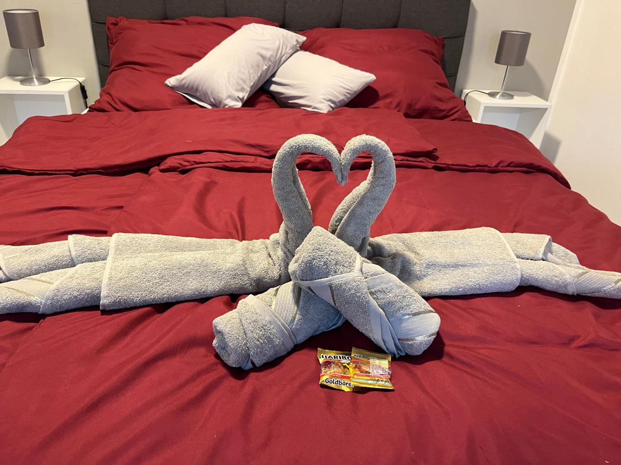 Studio Am Waldschloesschen Mit Kueche Und Netflix Dresden Ngoại thất bức ảnh